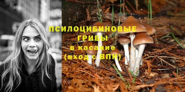 кокс Армянск