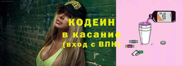 сатива Арсеньев