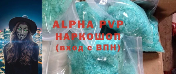 стафф Гатчина