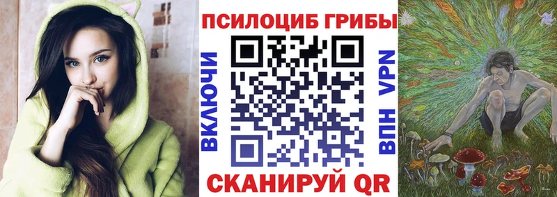 наркота  Бикин  Псилоцибиновые грибы Cubensis 